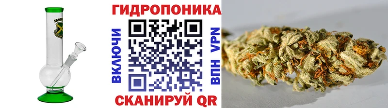 Каннабис конопля  Нолинск 